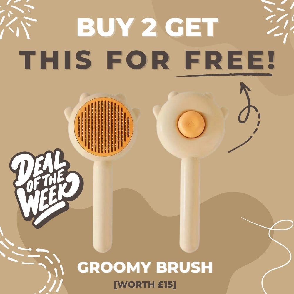 Steamy Grooming Brush